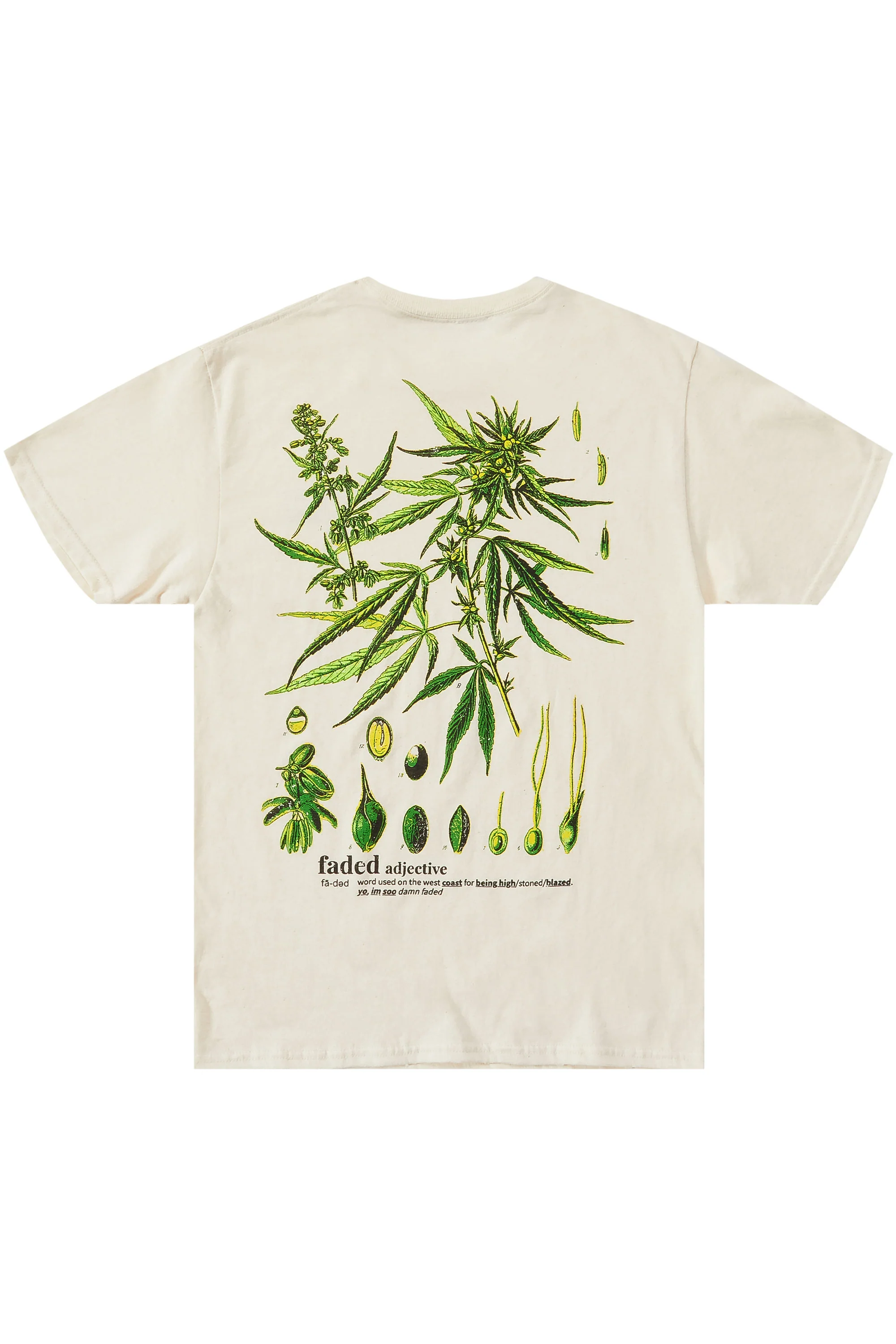 Brotanics Beige Graphic T-Shirt - Image 2