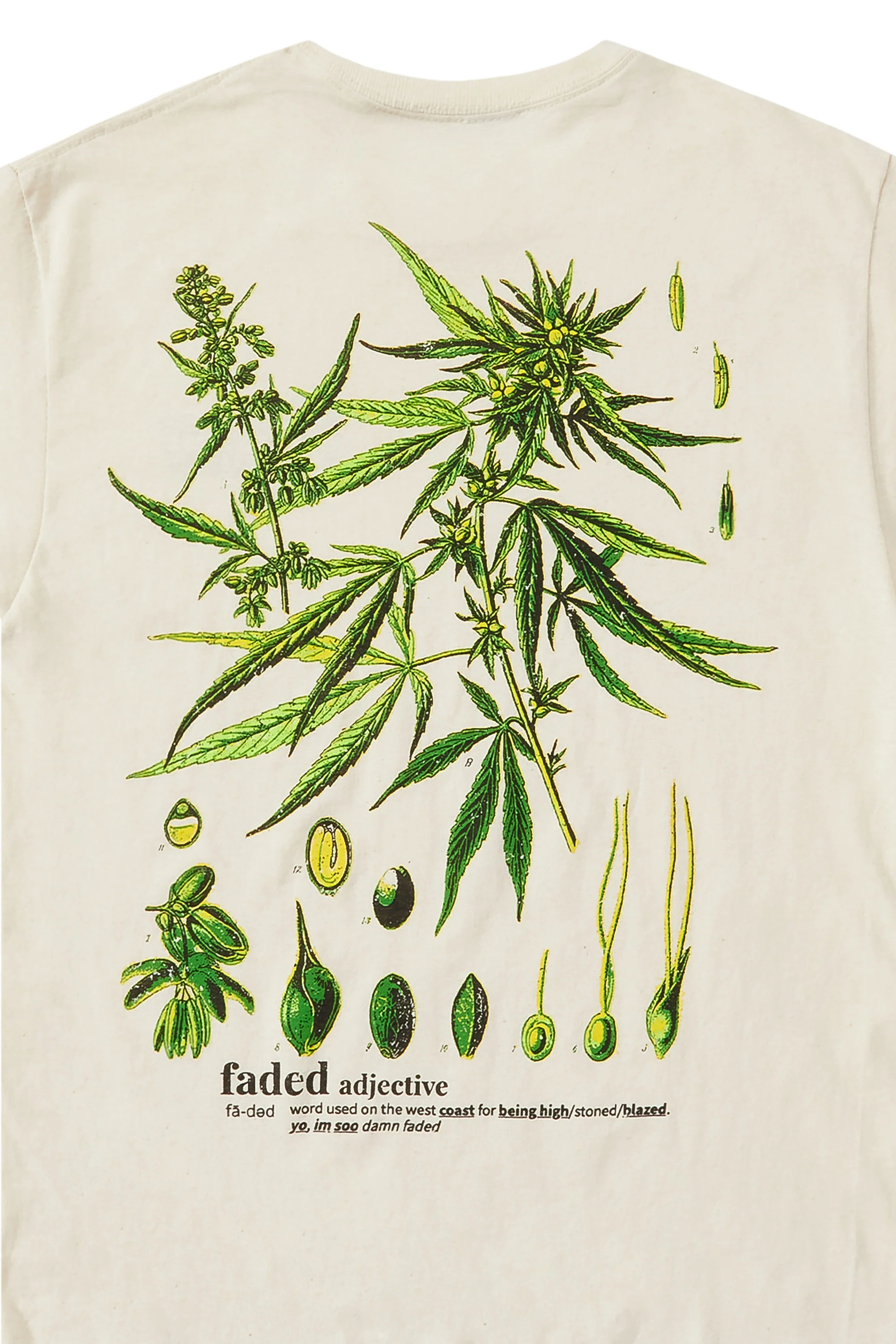 Brotanics Beige Graphic T-Shirt - Image 6